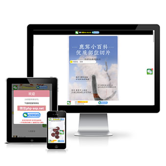 【带后台】鹿茸营销新版竞价加好友落地页引流推广 跳转微信app可自动复制一键跳转微信